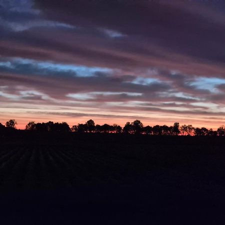 Vrijstaande Ruime Familiewoning Landelijk Gelegen Villa Lewedorp Buitenkant foto