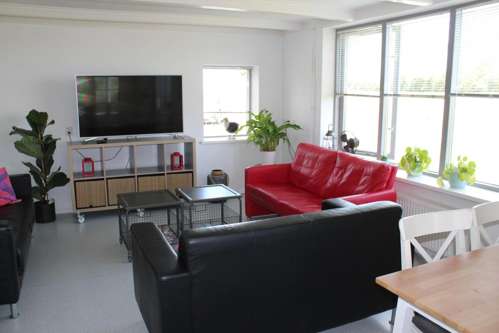 Vrijstaande Ruime Familiewoning Landelijk Gelegen Villa Lewedorp Buitenkant foto
