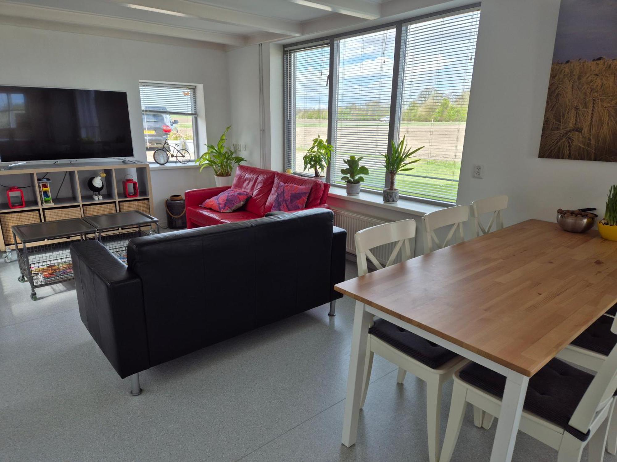 Vrijstaande Ruime Familiewoning Landelijk Gelegen Villa Lewedorp Buitenkant foto